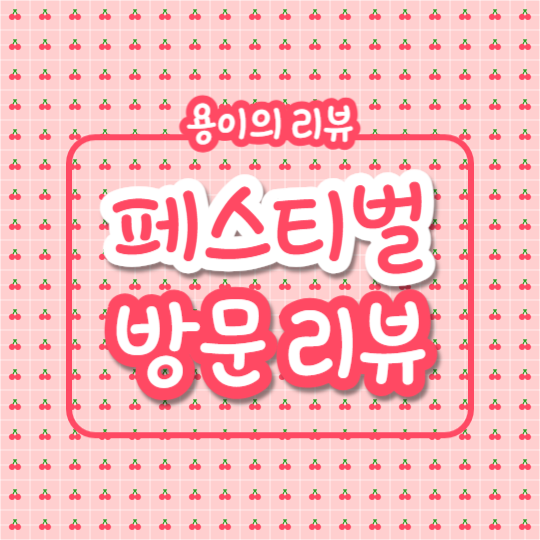 페스티벌 방문리뷰 (카드뉴스)