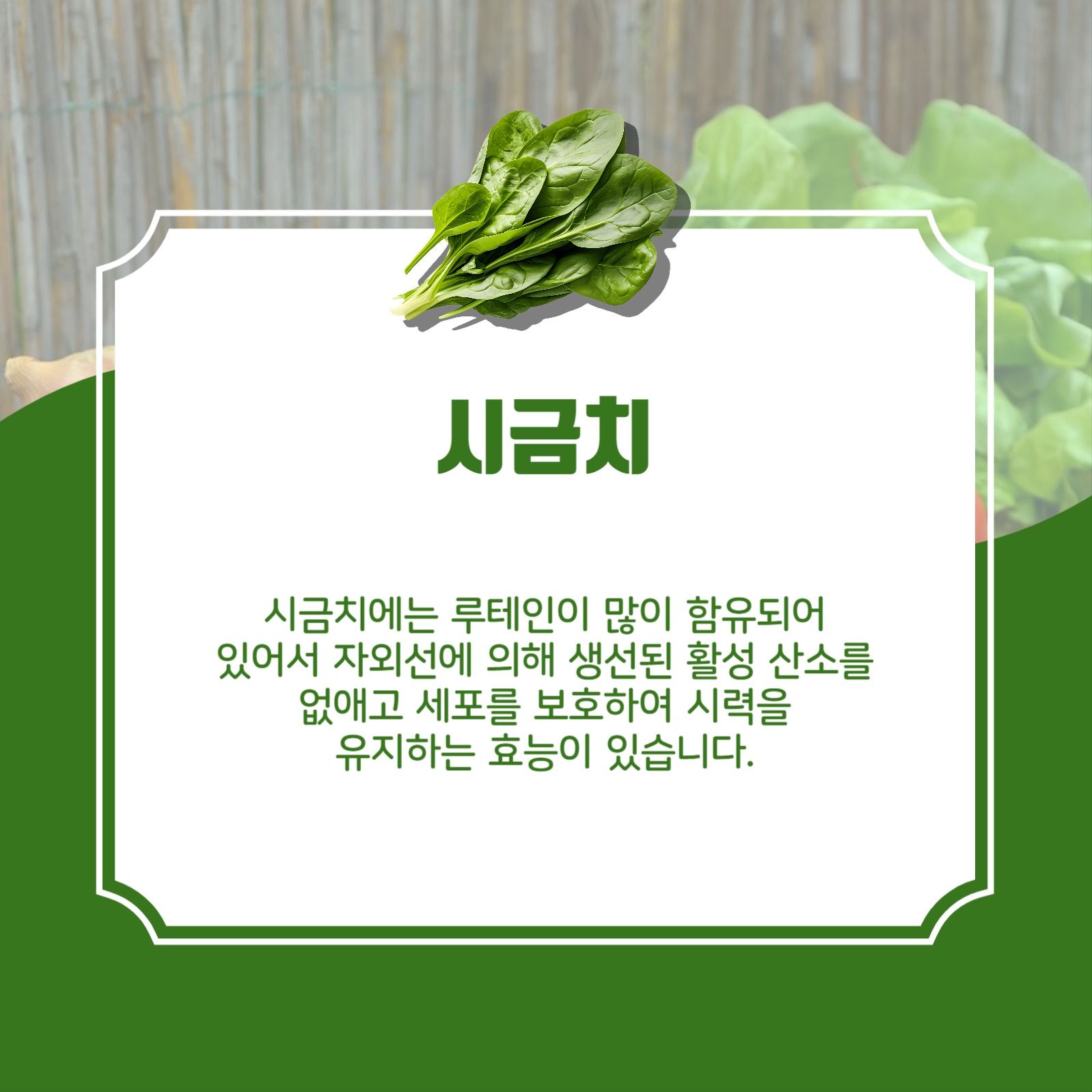 눈건강에좋은음식