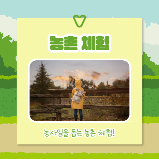 여름방학 체험활동 (카드뉴스)