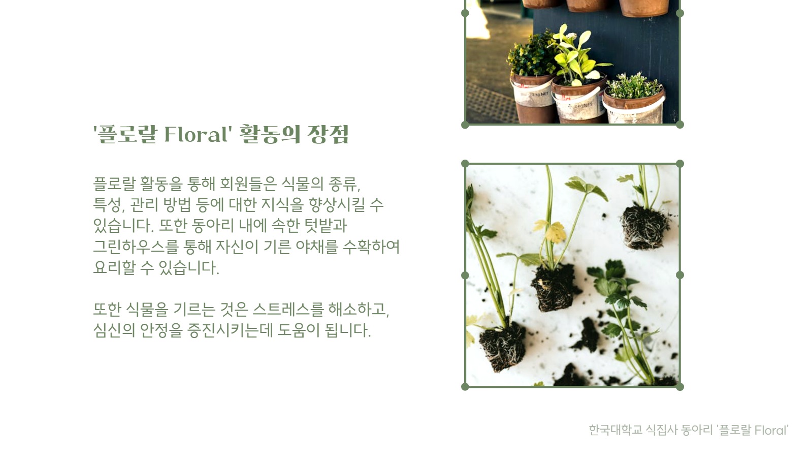 동아리 소개서 프레젠테이션