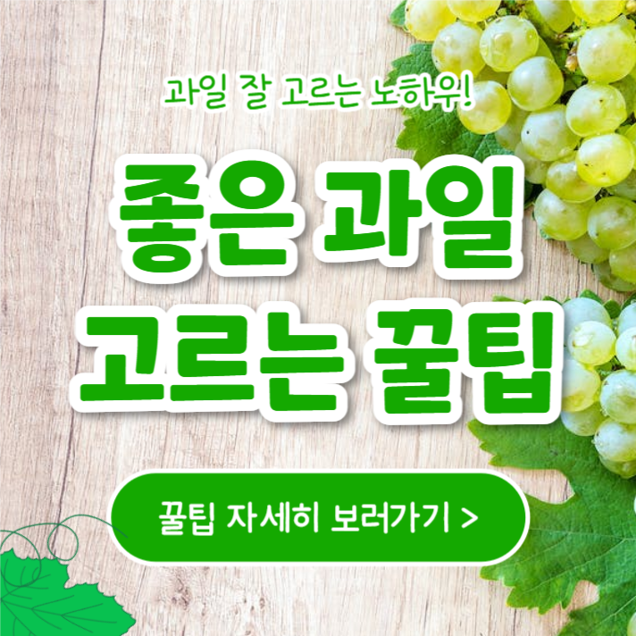 좋은 과일 고르는 꿀팁 (카드뉴스)