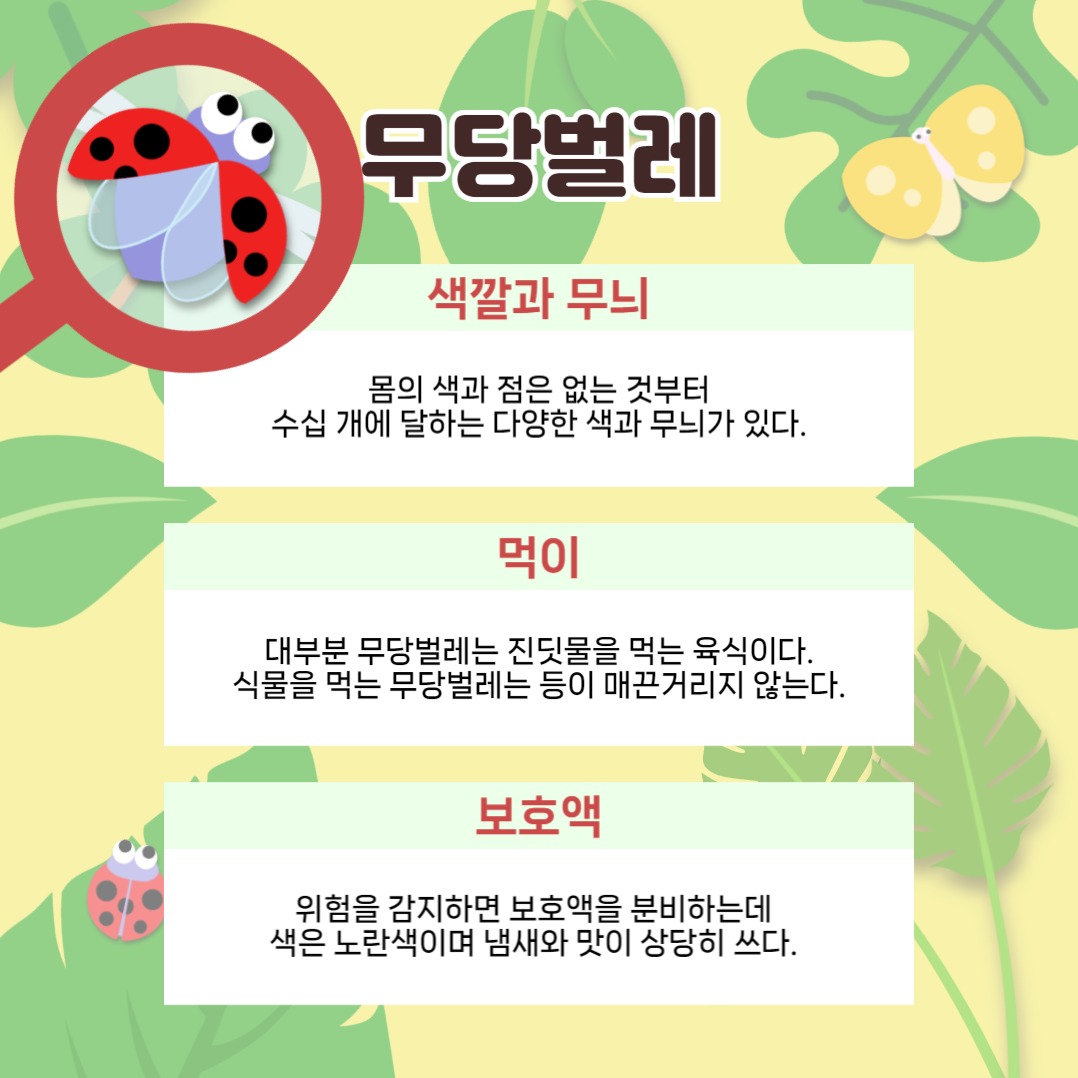 곤충 일기 카드뉴스