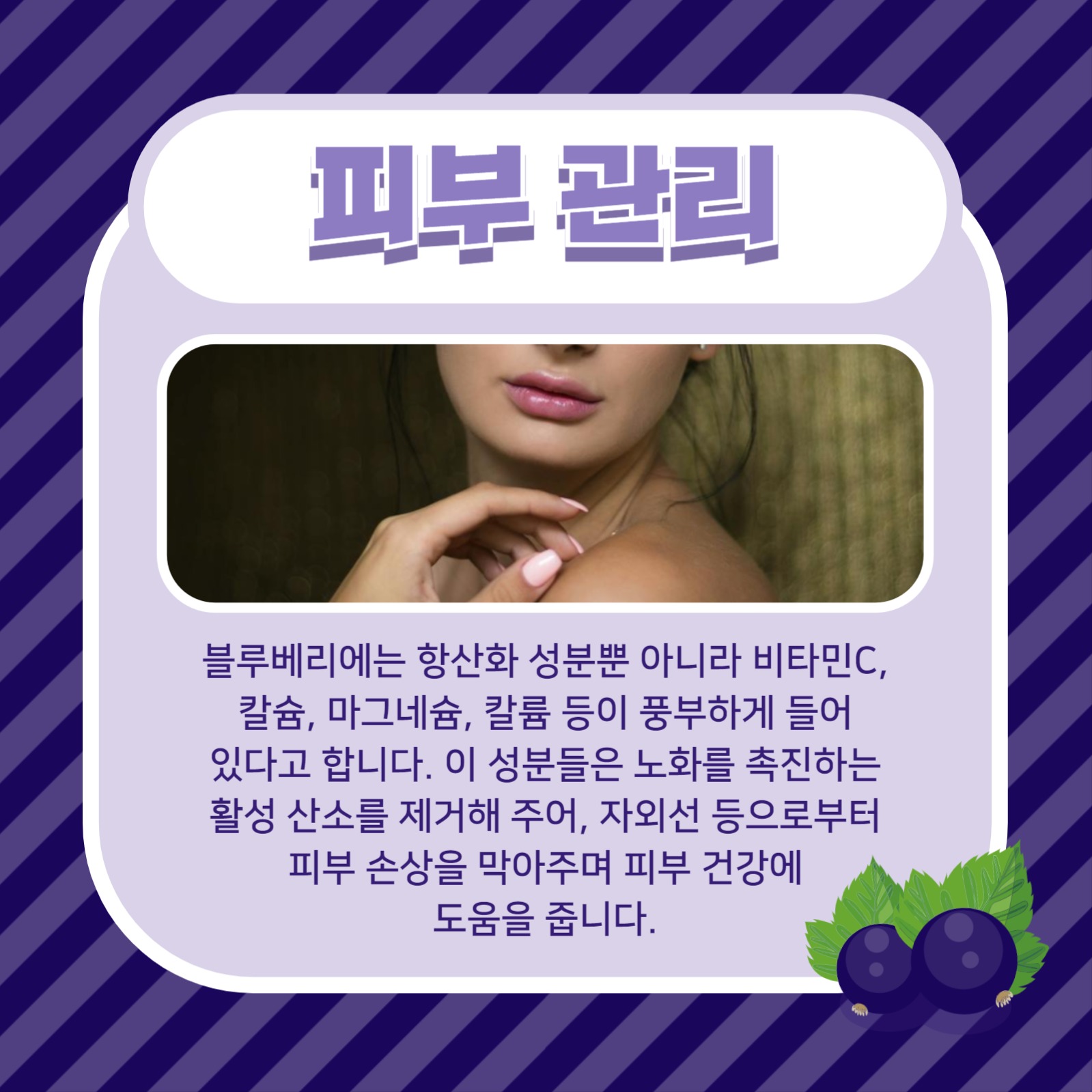 블루베리의 효능