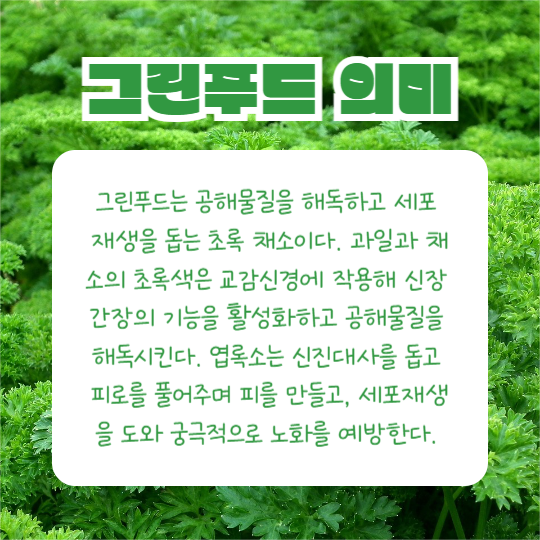 그린푸드 알아보기 (카드뉴스)