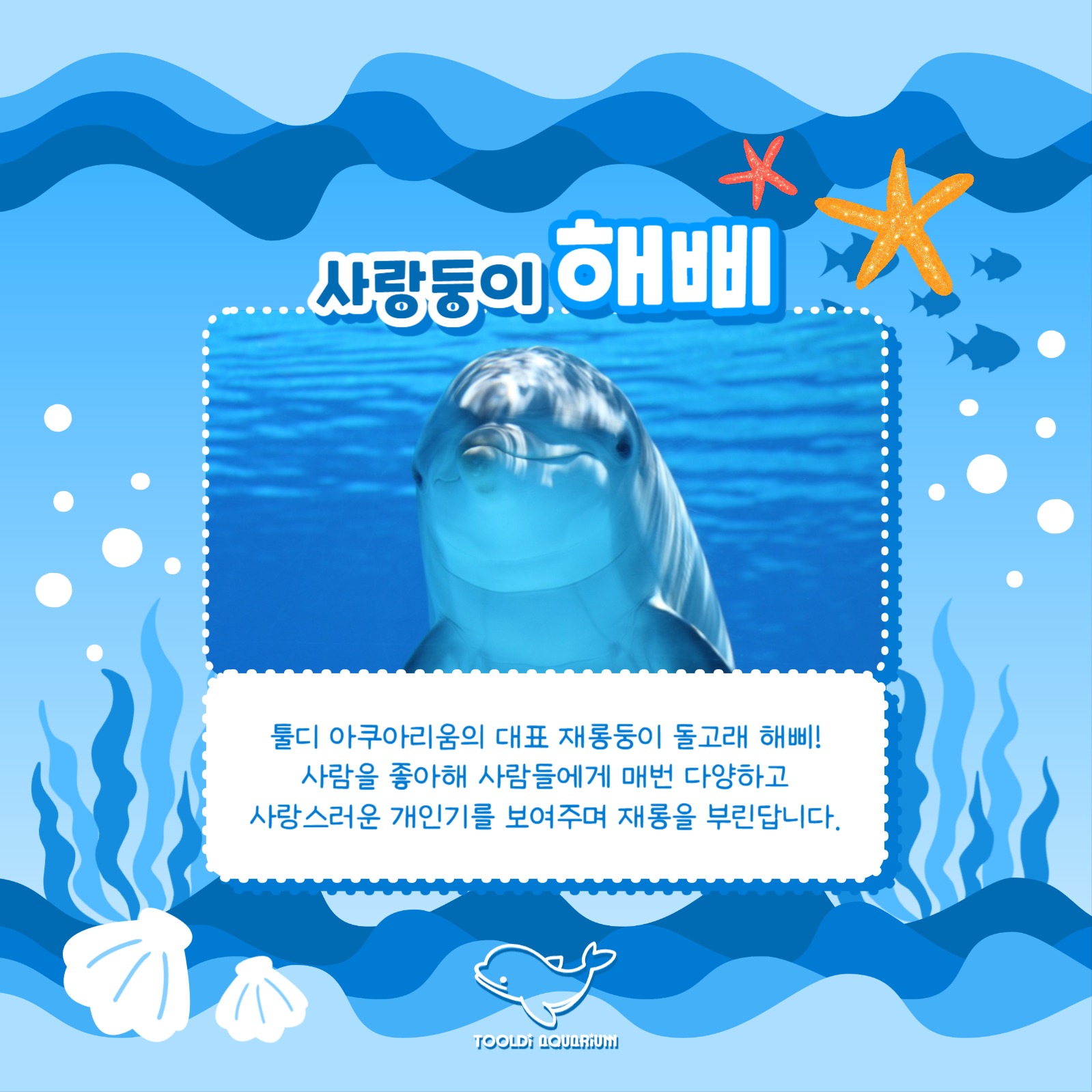 아쿠아리움 홍보 카드뉴스