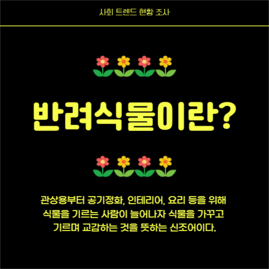 반려식물 키우기 (카드뉴스)