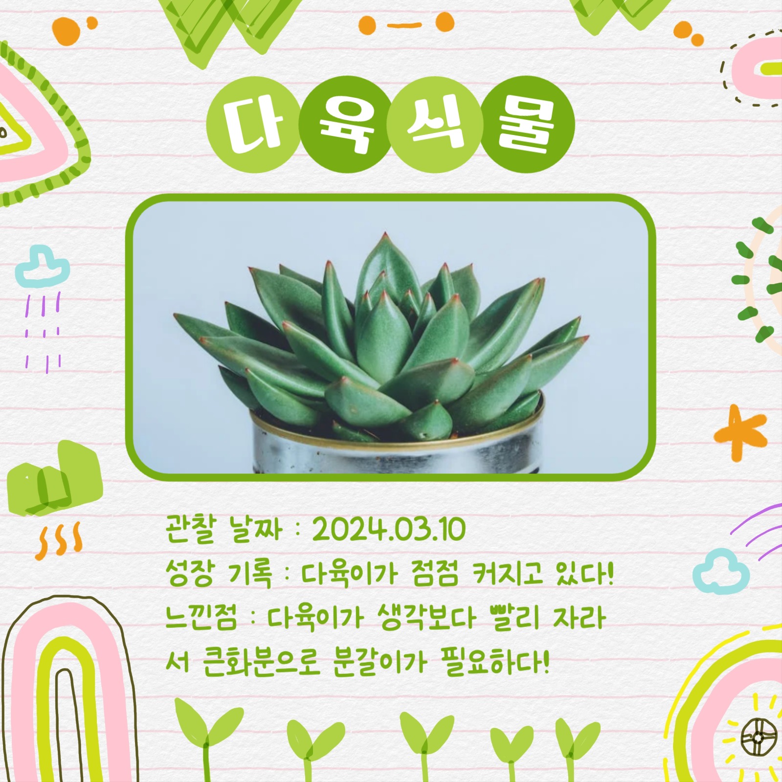 반려식물 관찰일지 카드뉴스