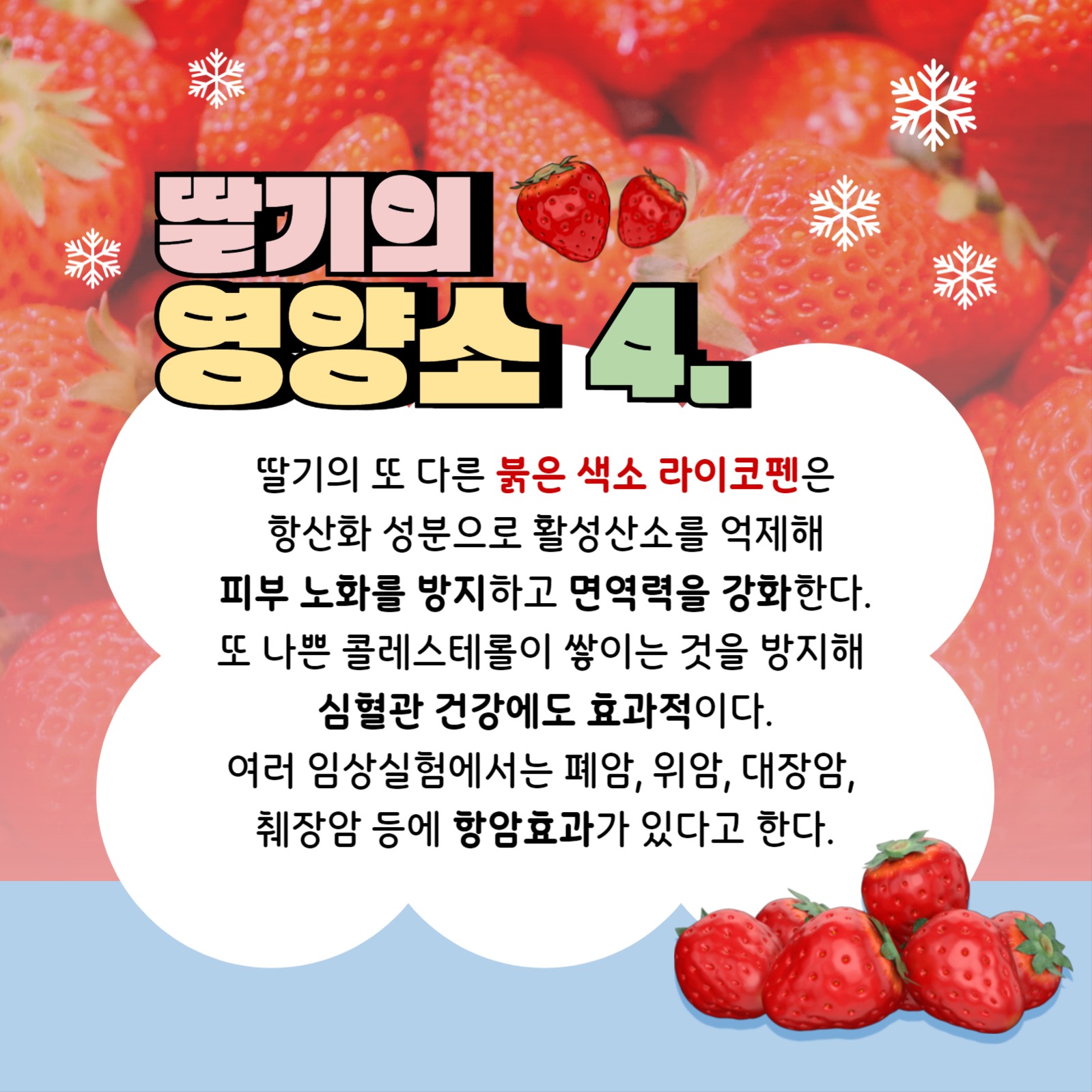 겨울 딸기 템플릿