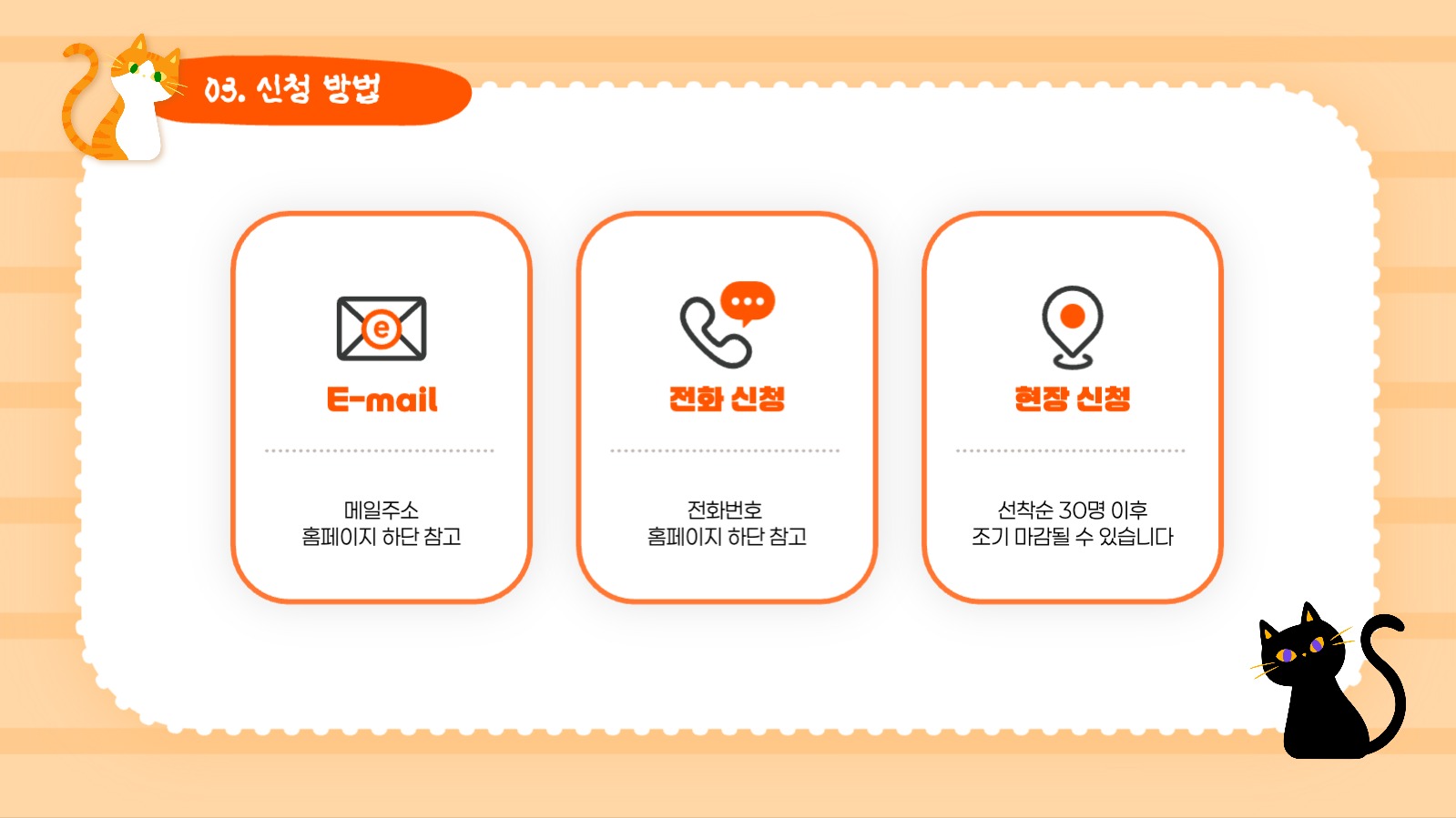 고양이 모두모여 냥소풍!