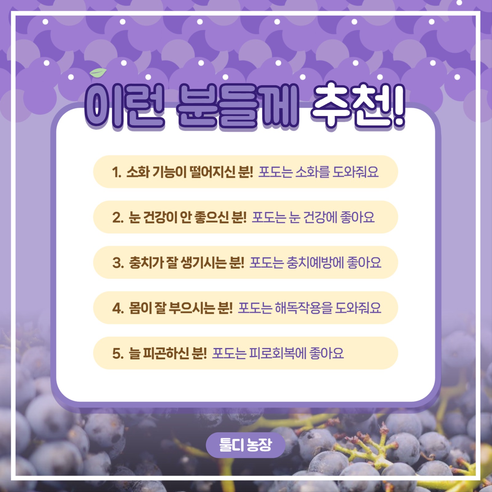 포도 농장 템플릿