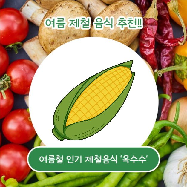 여름철 제철음식 (카드뉴스)