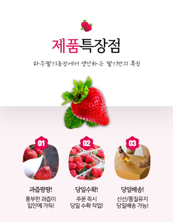 파주딸기농장쿠팡상세페이지