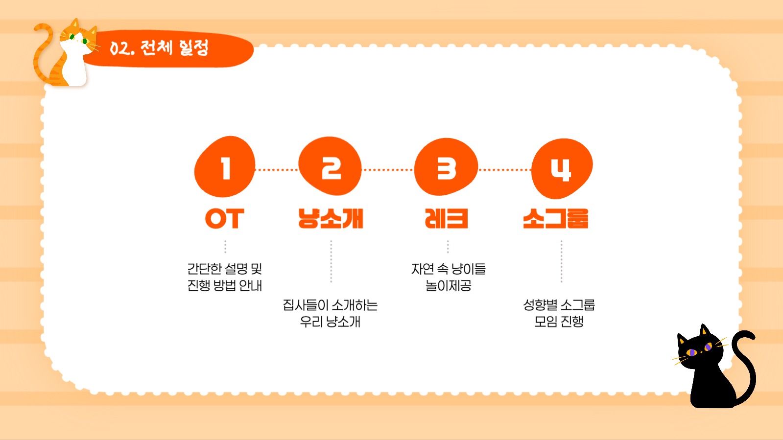 고양이 모두모여 냥소풍!