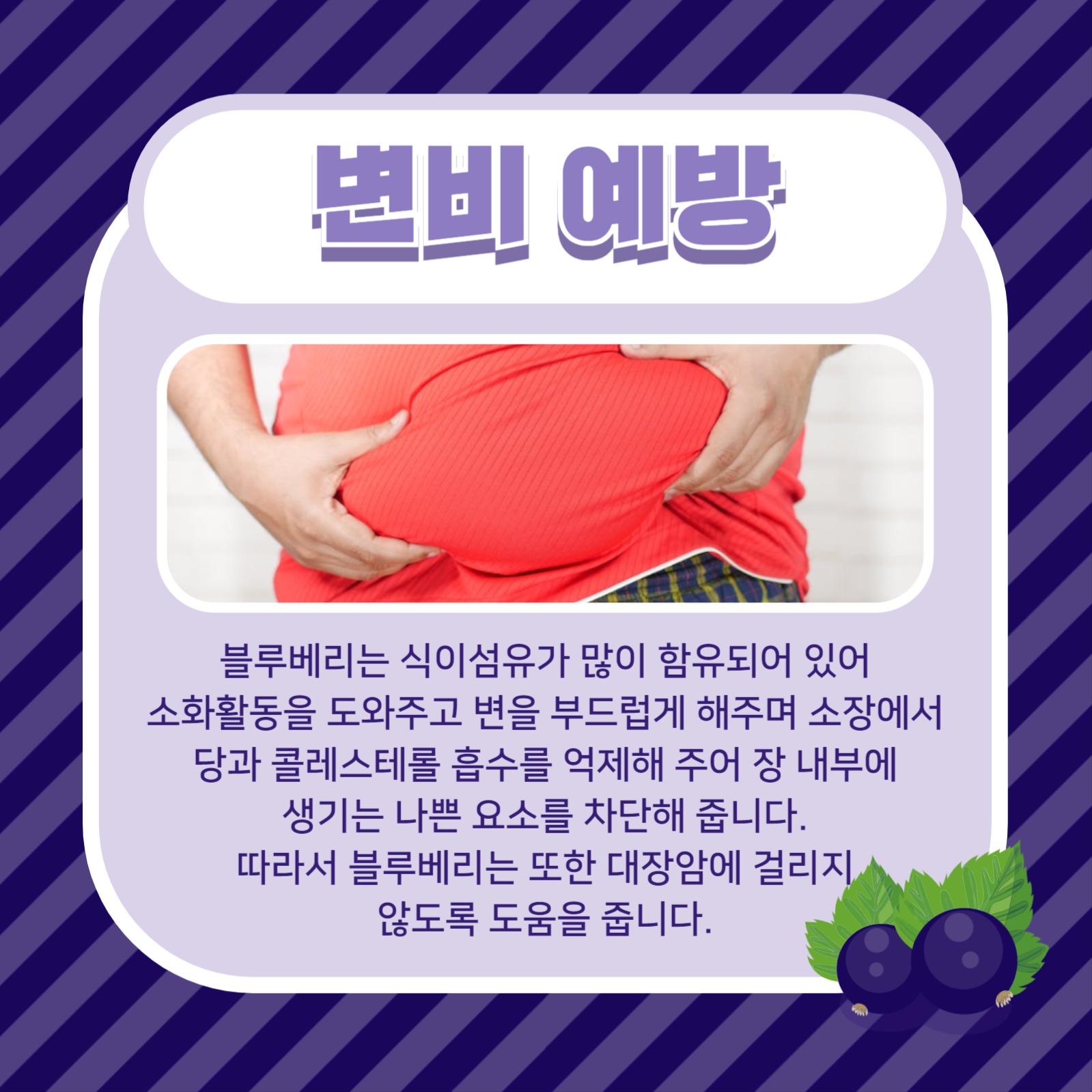 블루베리의 효능