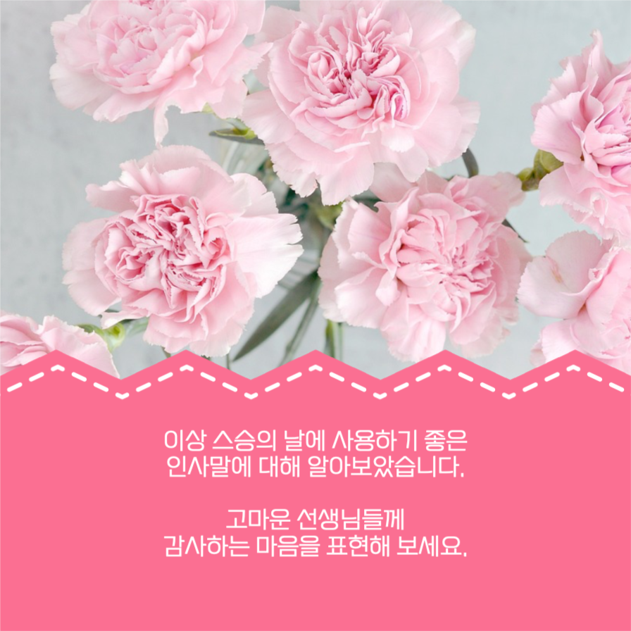 스승의 날 인사말 모음 카드뉴스