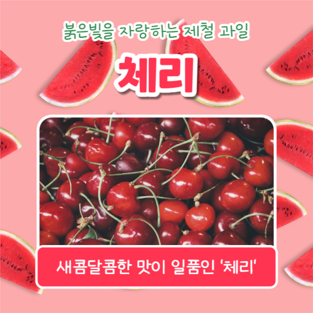 올여름 제철과일 (카드뉴스)