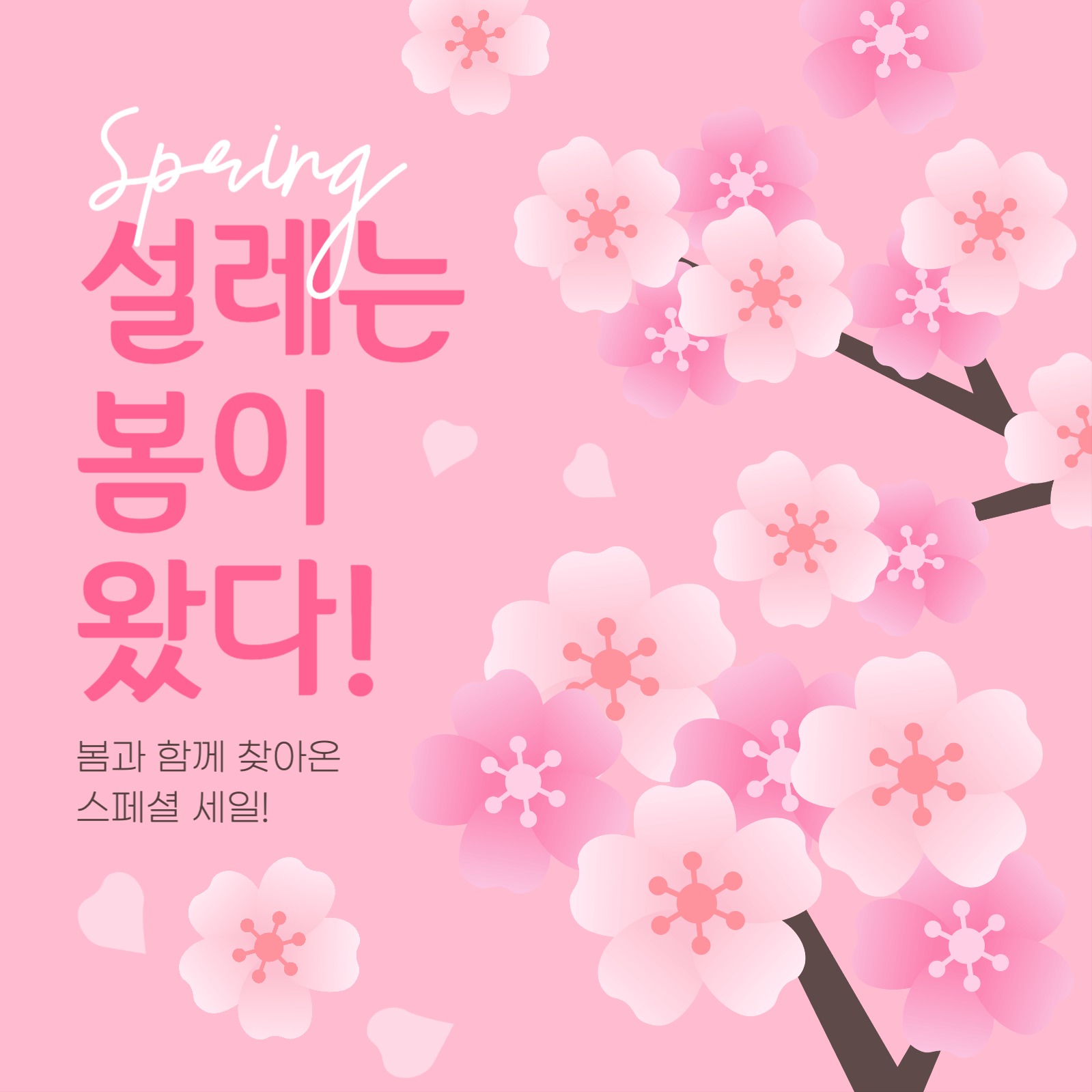 봄 세일 게시물