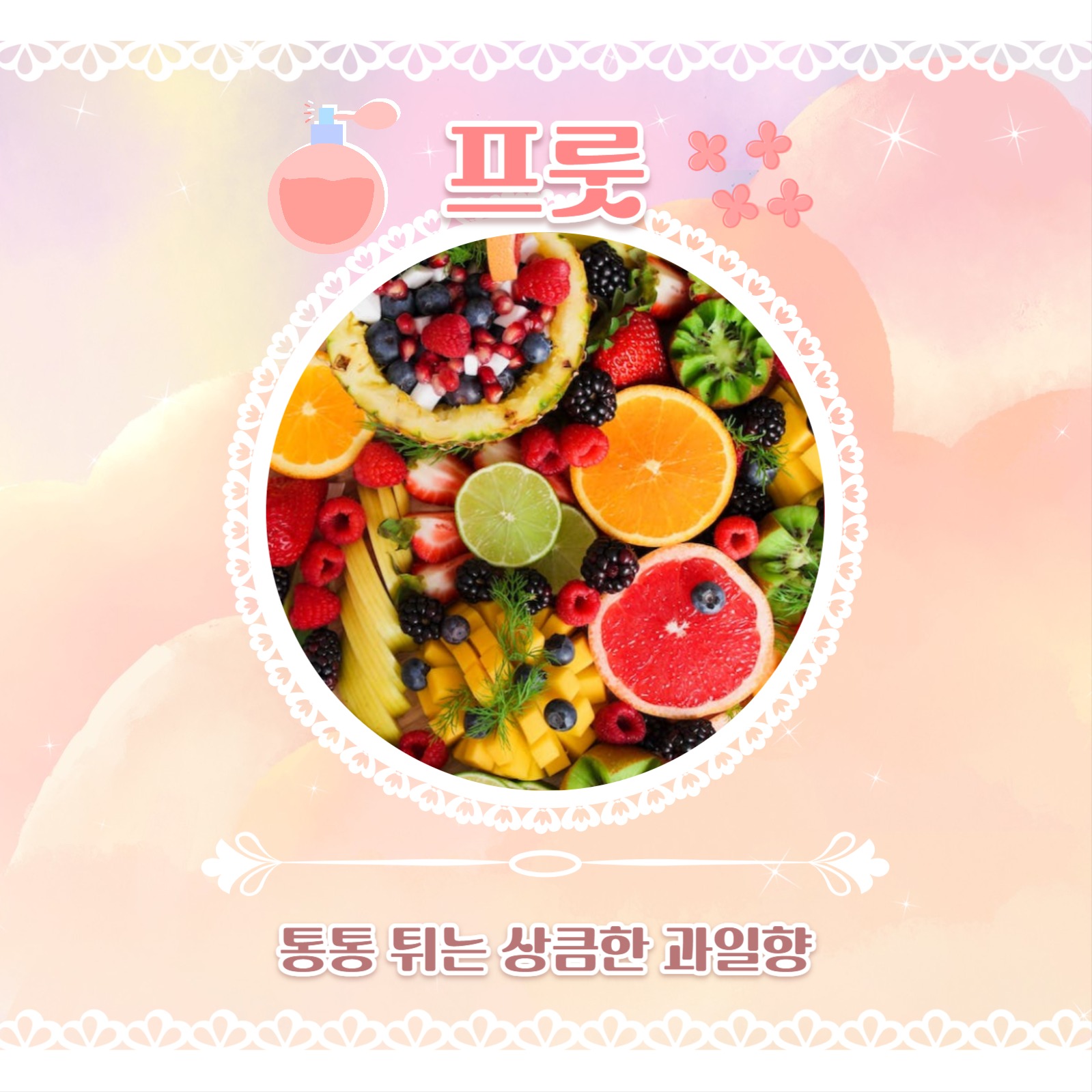 섬유 향수 추천 카드뉴스