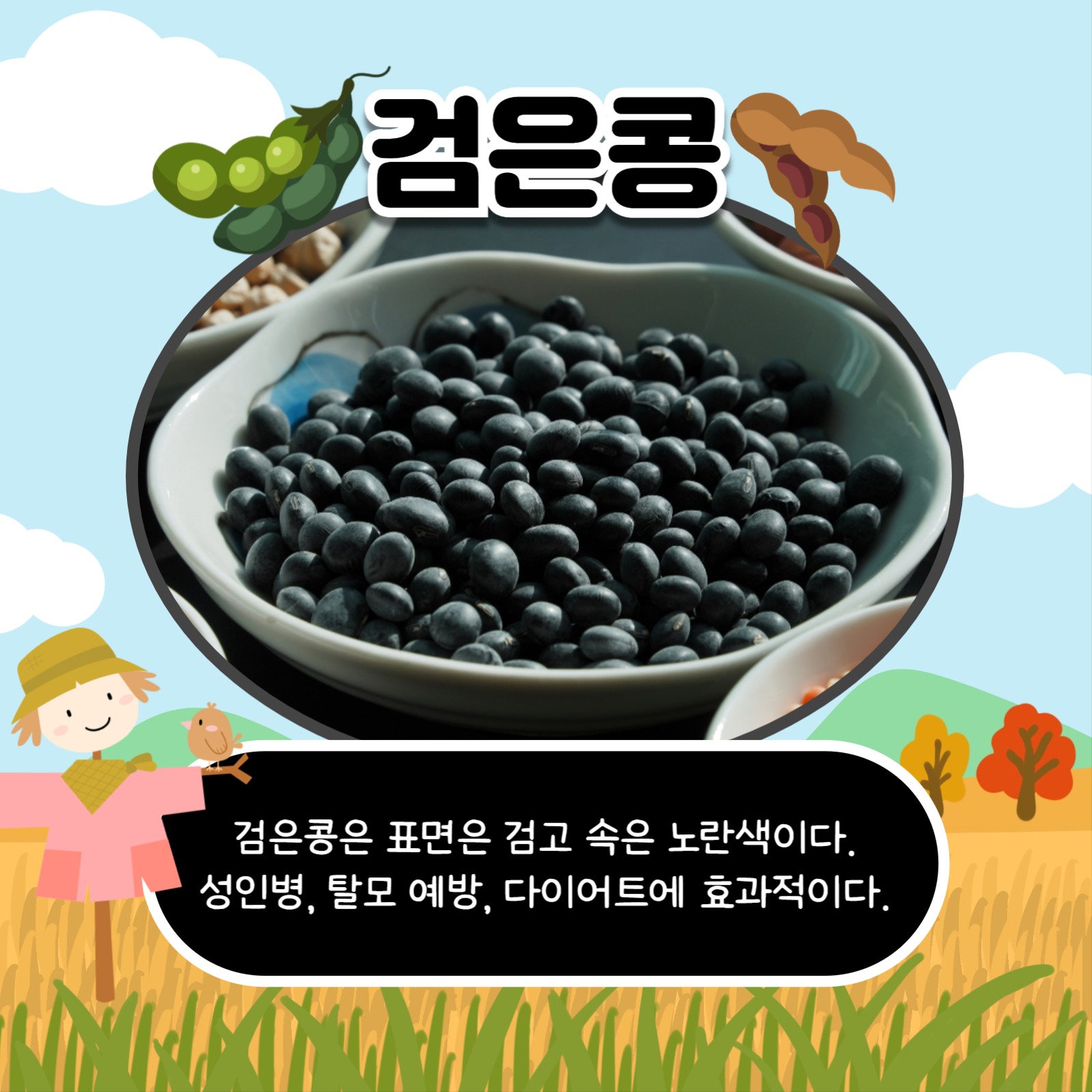 콩의 종류와 효능 카드뉴스
