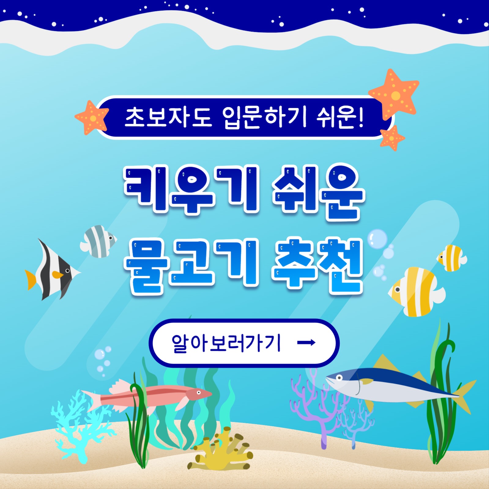 키우기 쉬운 어종 카드뉴스