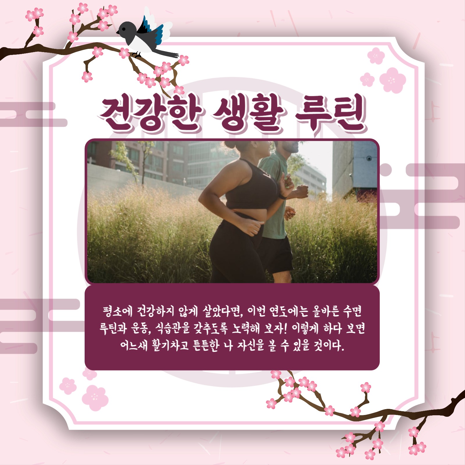 신년 목표 정하기 카드뉴스