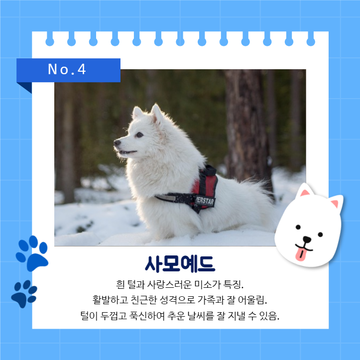 강아지 백과사전