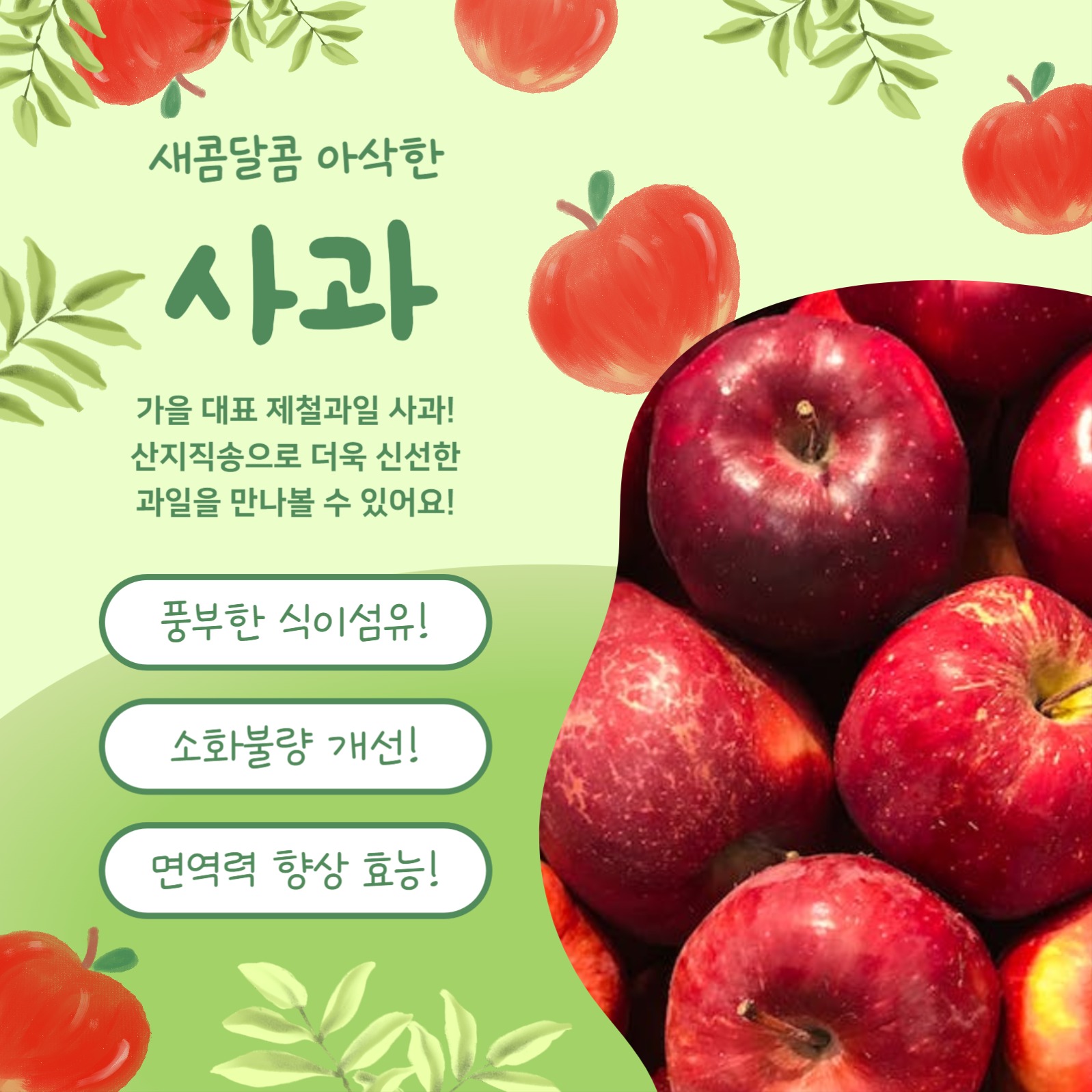 새콤달콤 제철사과 (카드뉴스)