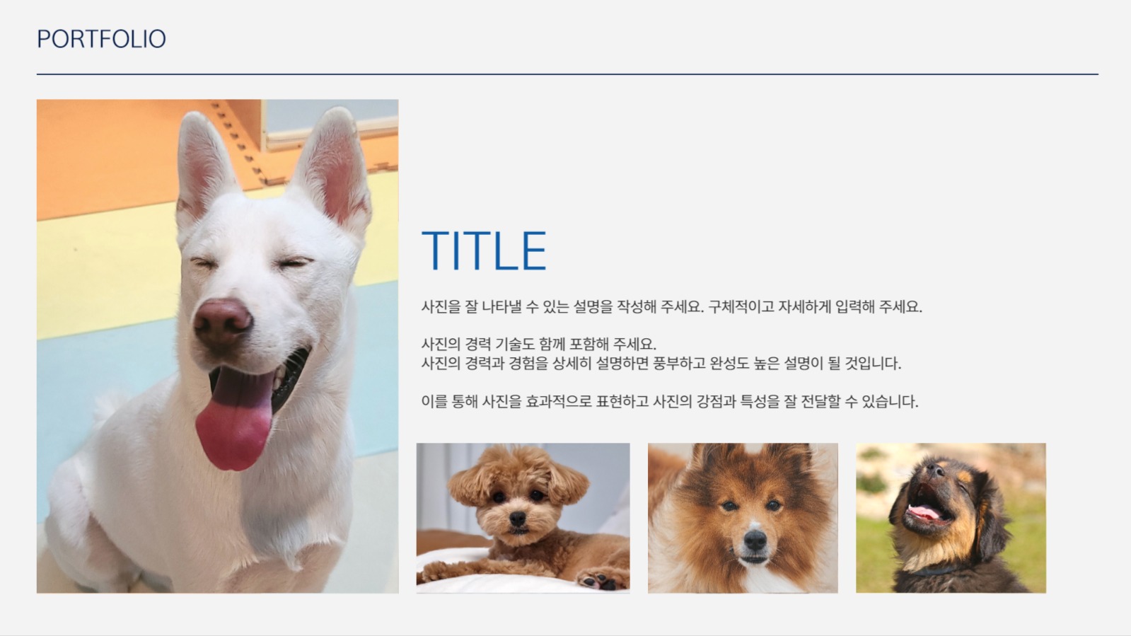 사진을 활용한 포트폴리오 템플릿