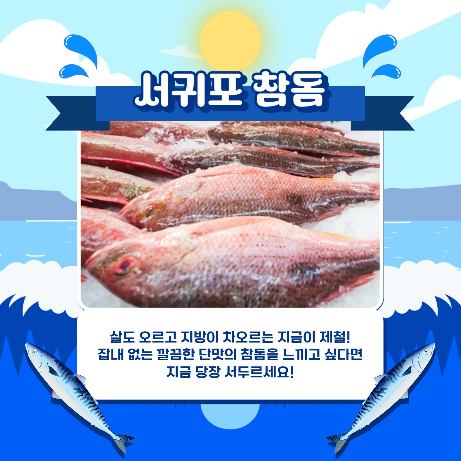 수산물 대잔치 카드뉴스