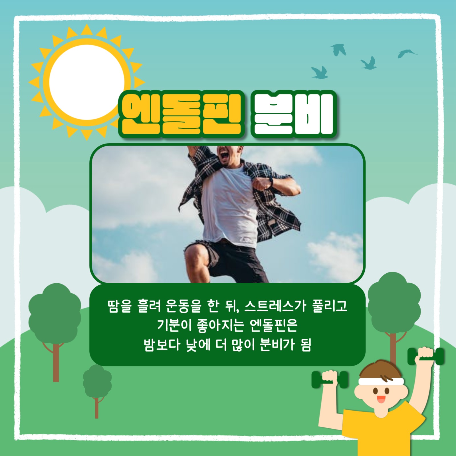 아침 운동의 중요성 카드뉴스