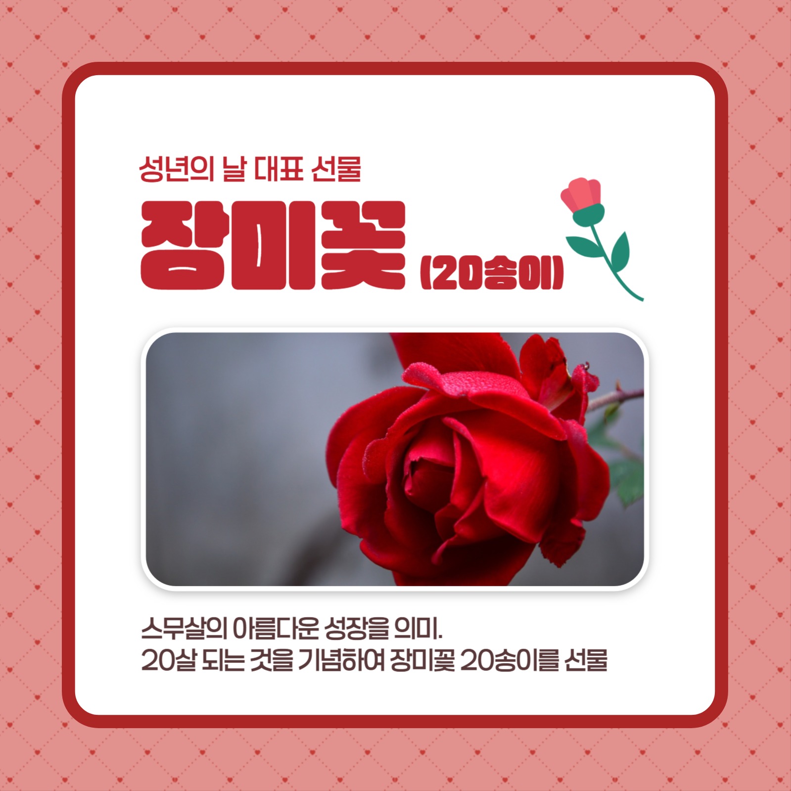 성년의날 카드뉴스