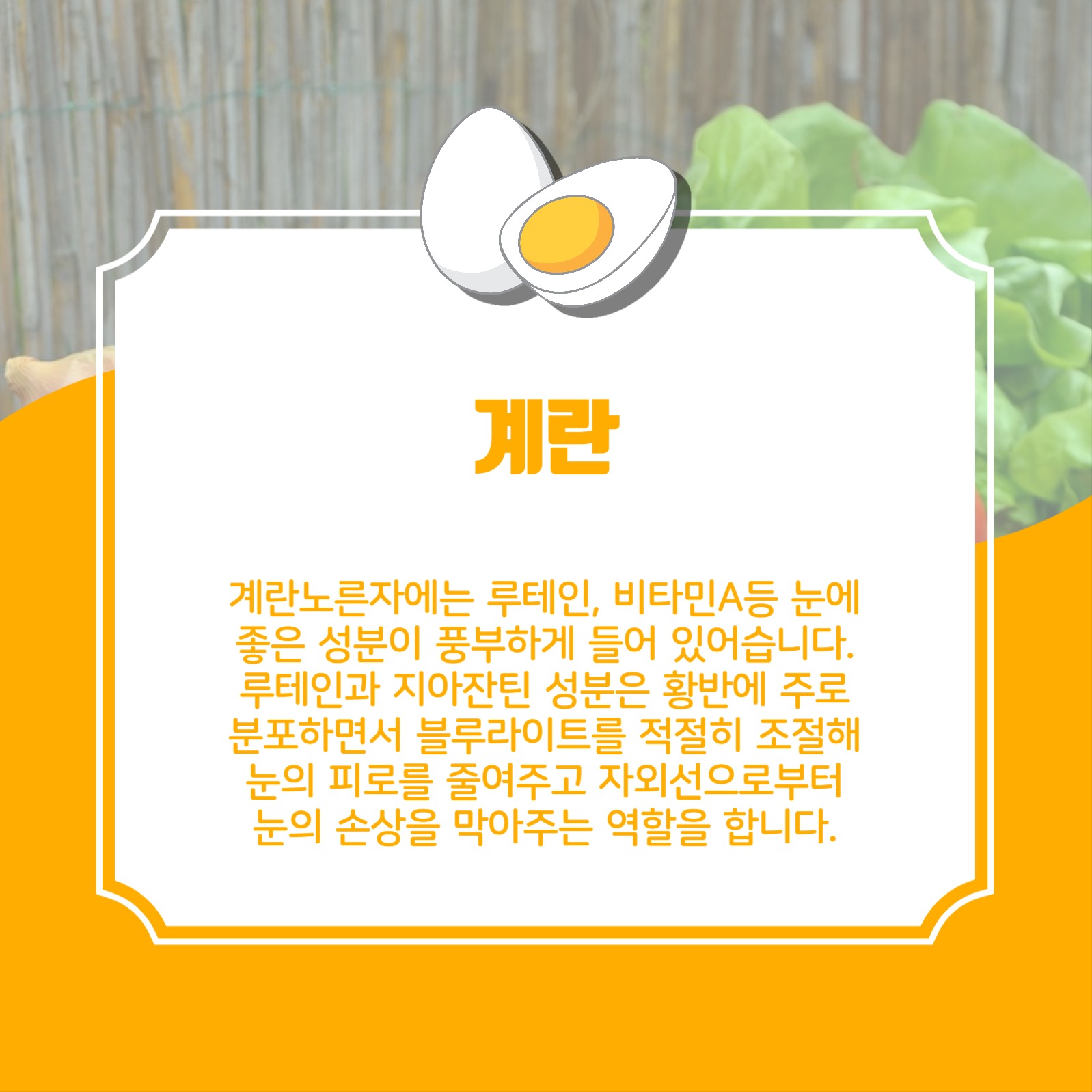 눈건강에좋은음식