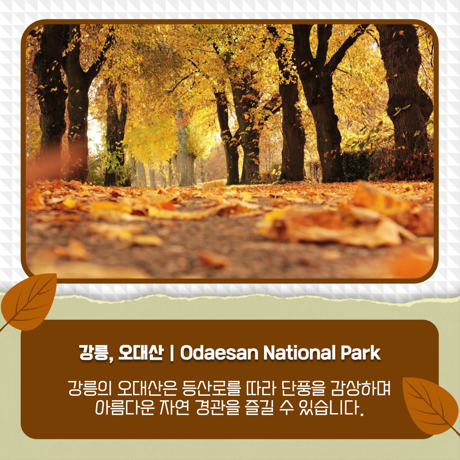 가을 여행지 추천 카드뉴스