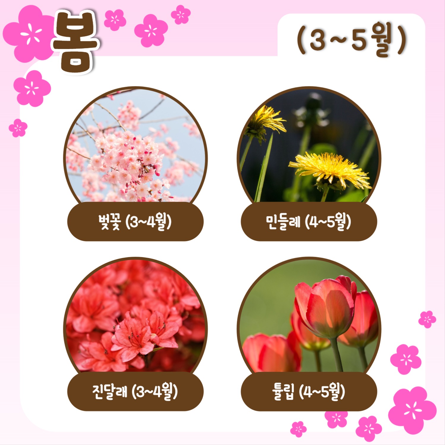 사계절 꽃 모음 템플릿