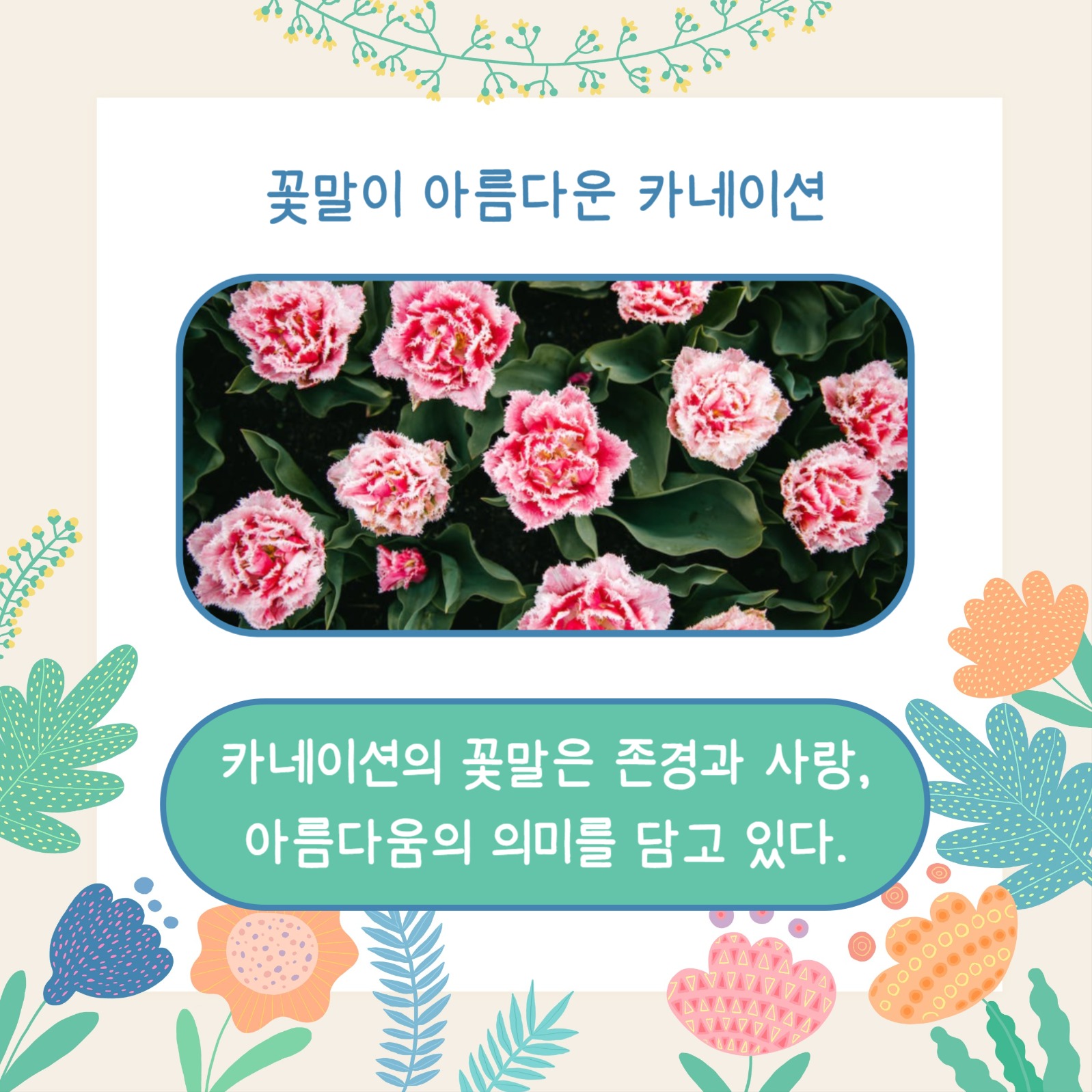 꽃말 예쁜 꽃 (카드뉴스)