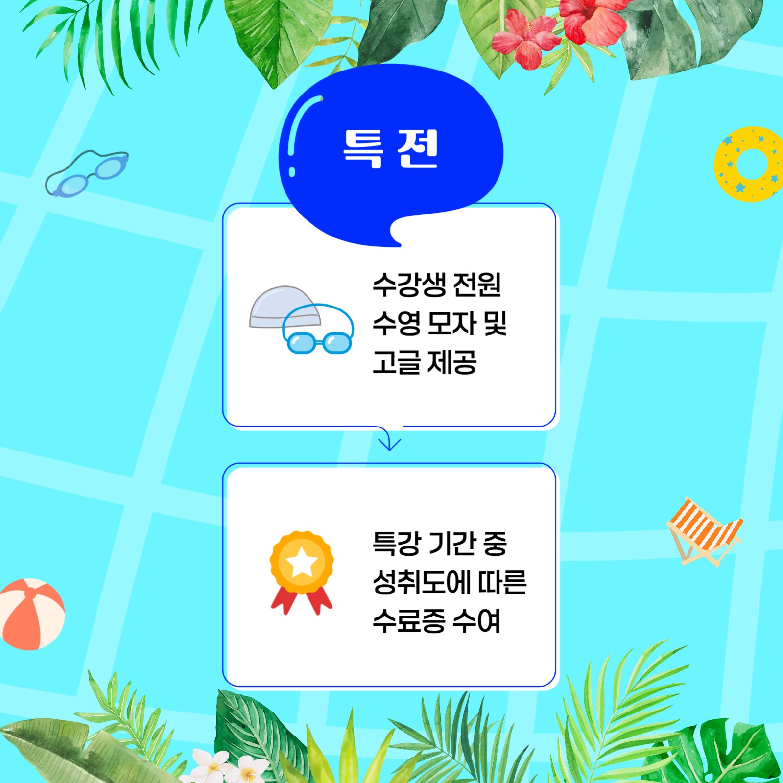 수영특강카드뉴스