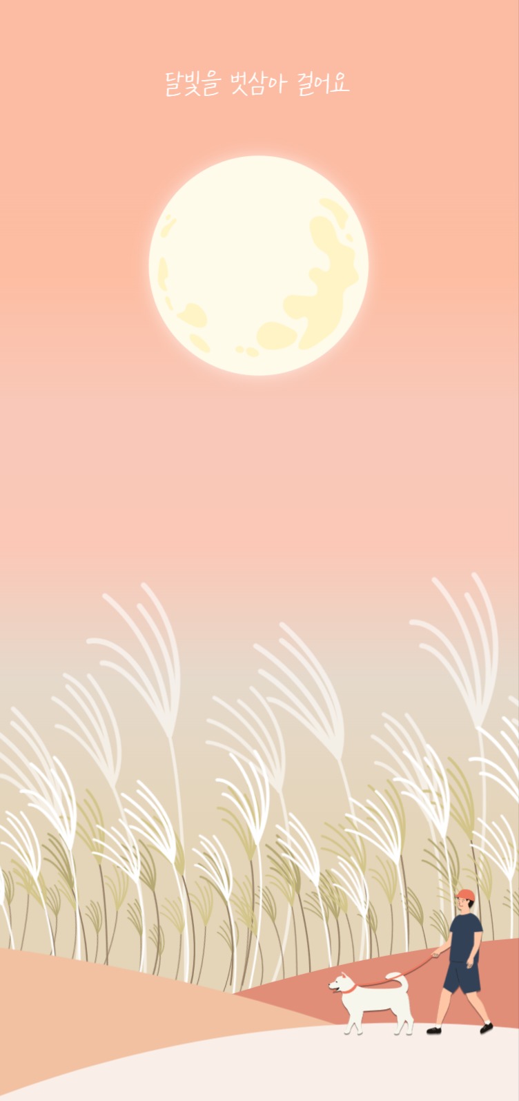 달빛을 벗삼아 걸어요