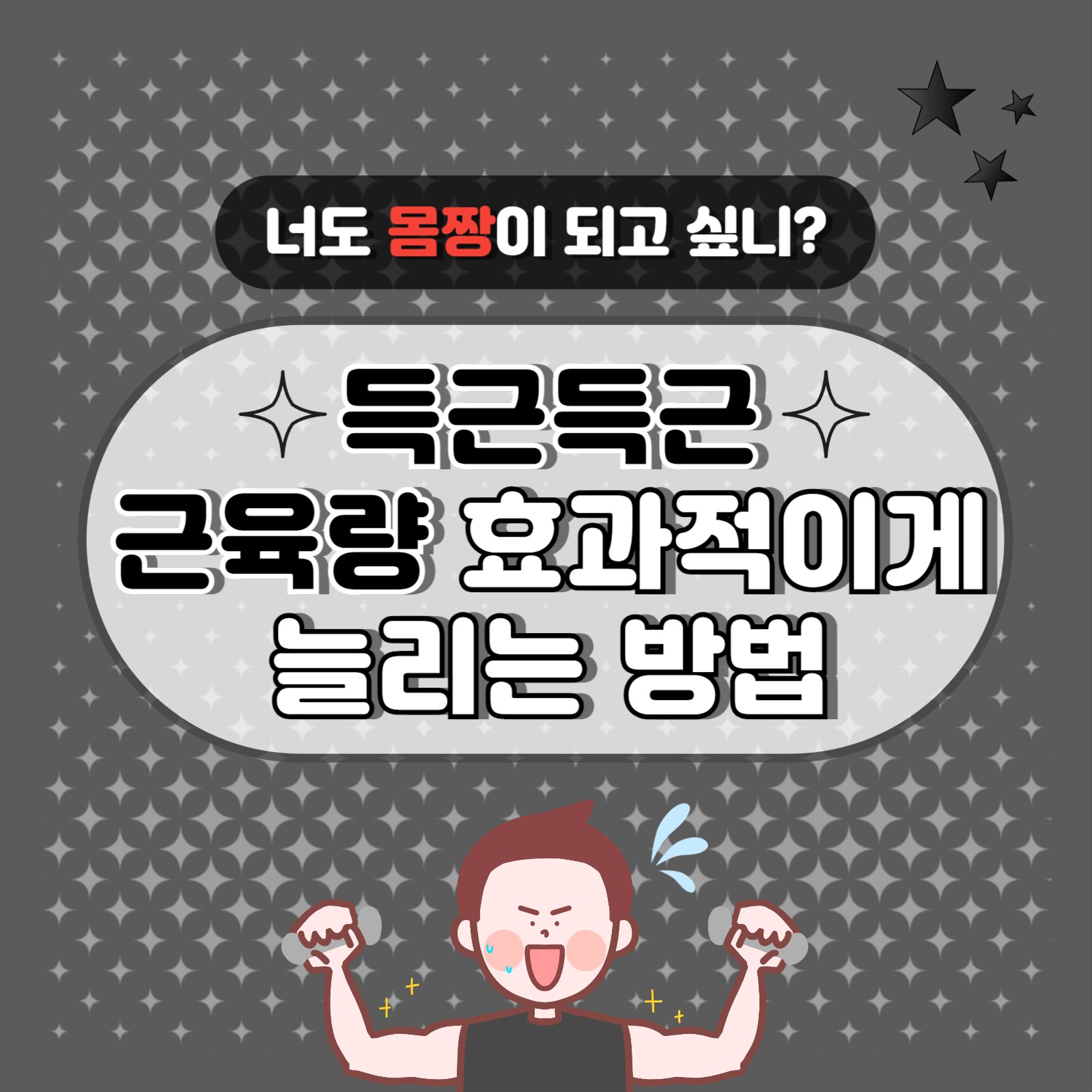 근육량 늘리는 방법 카드뉴스