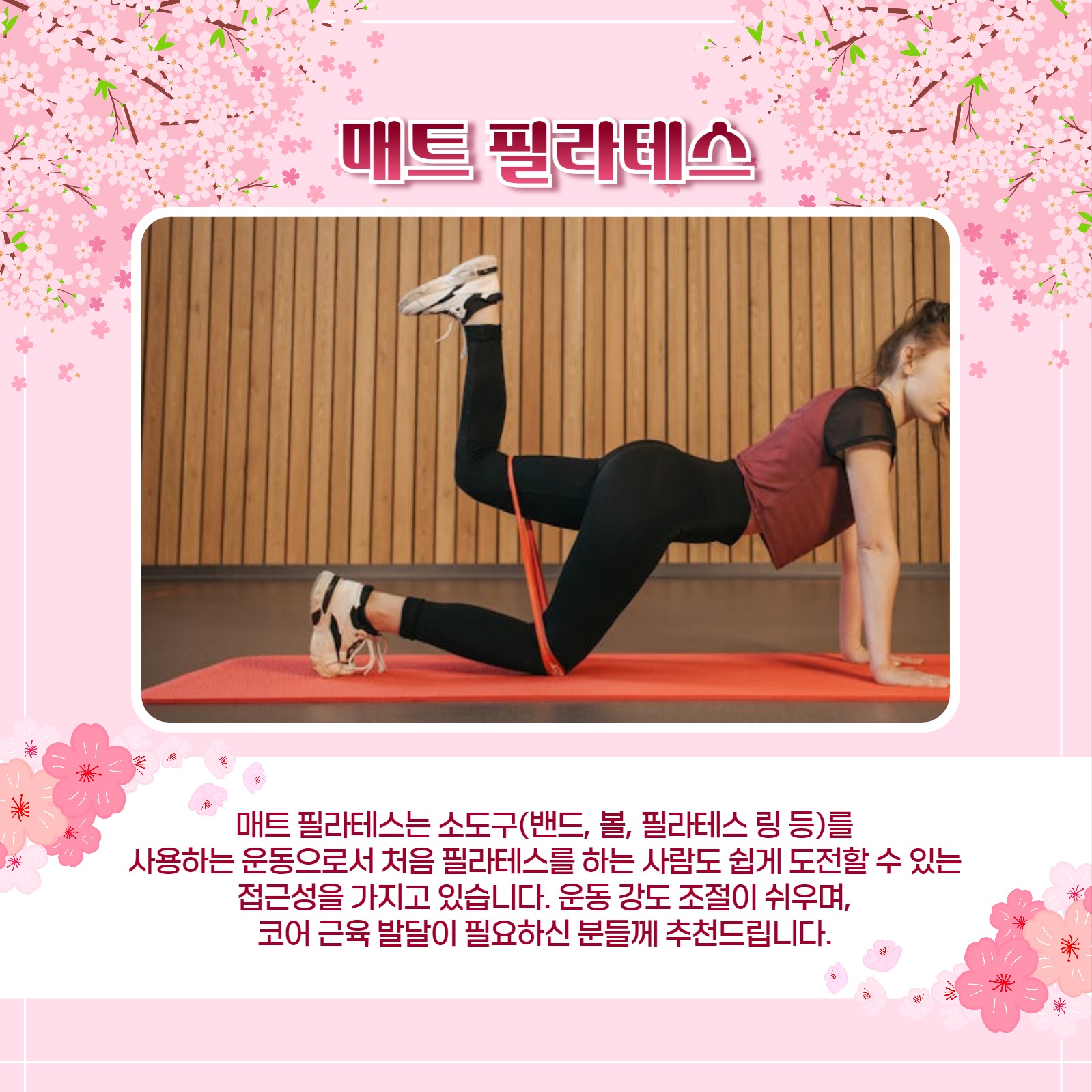 봄맞이 필라테스 카드뉴스
