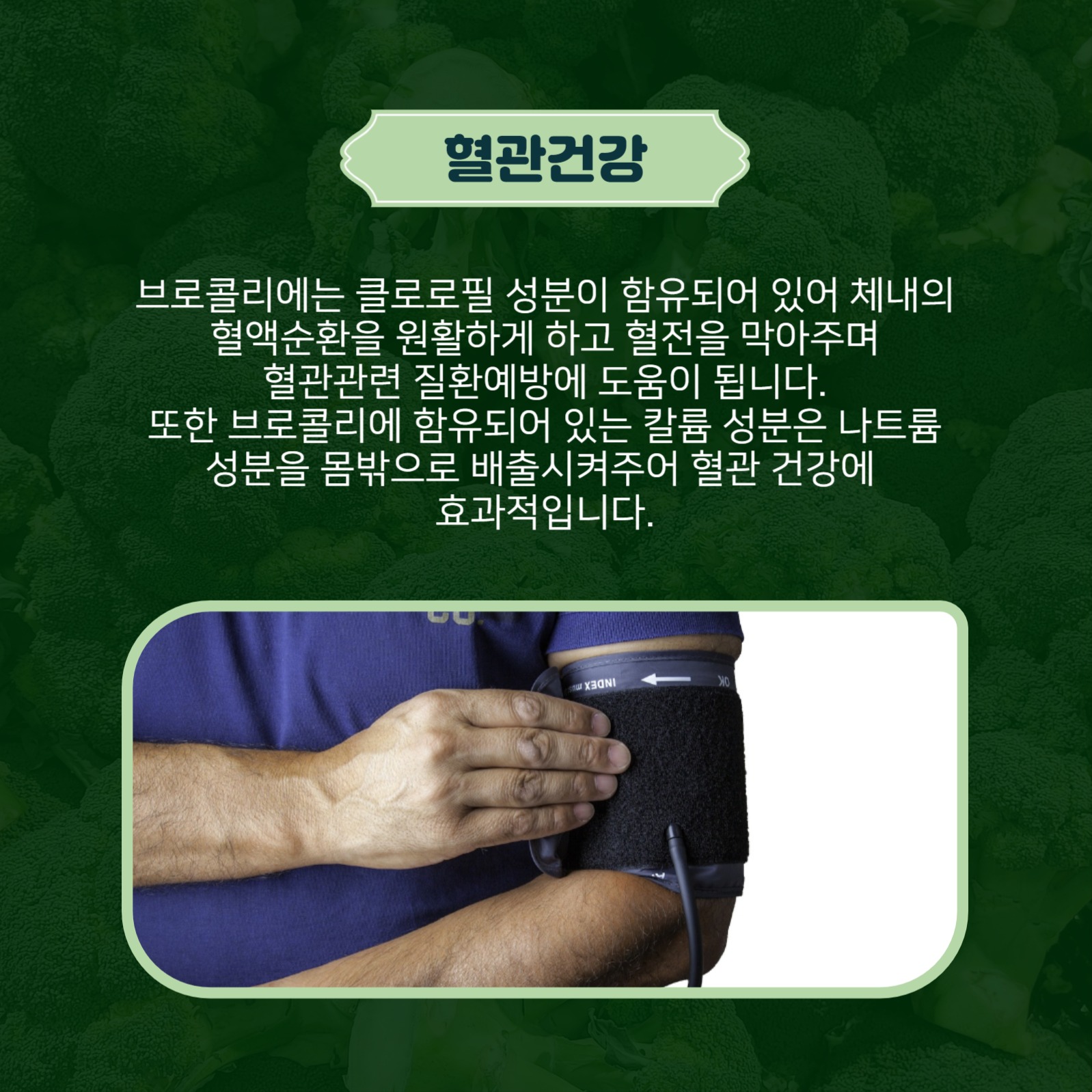 브로콜리의효능