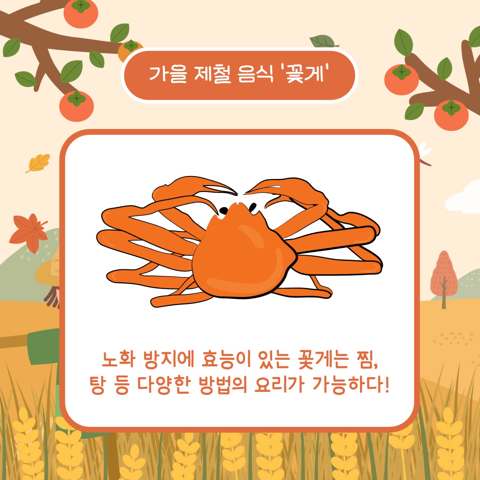 가을 추천 제철 음식 카드뉴스