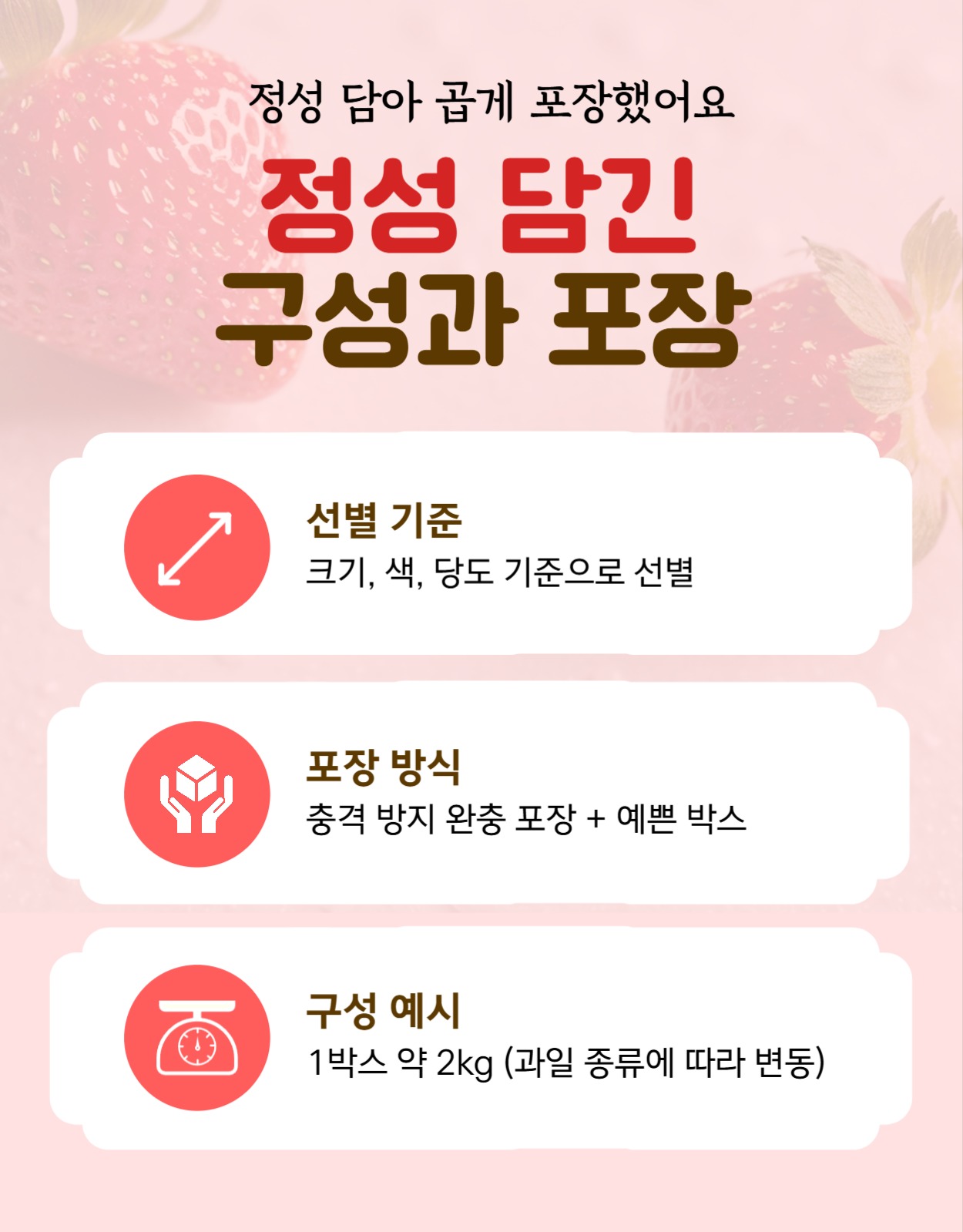 지금 딴 딸기 오늘 배송