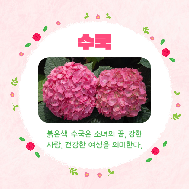 예쁜 꽃말 모음집 (카드뉴스)