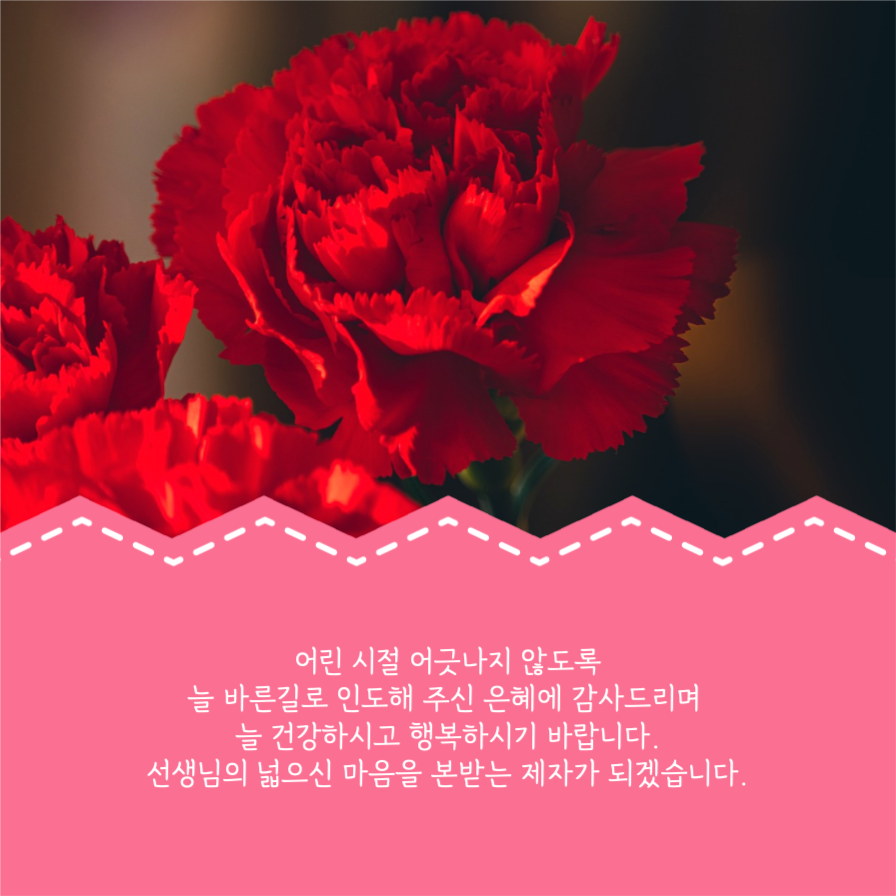 스승의 날 인사말 모음 카드뉴스