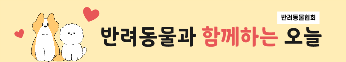 반려동물 캠페인 배너
