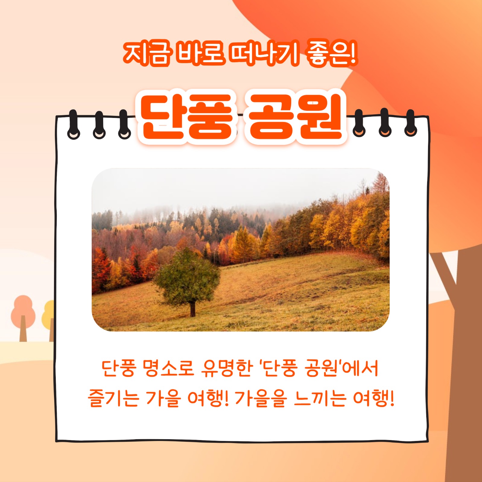 국내 가을 여행지 추천 (카드뉴스)