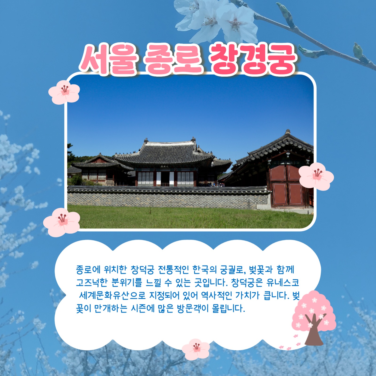 봄맞이 벚꽃 명소 추천 카드뉴스