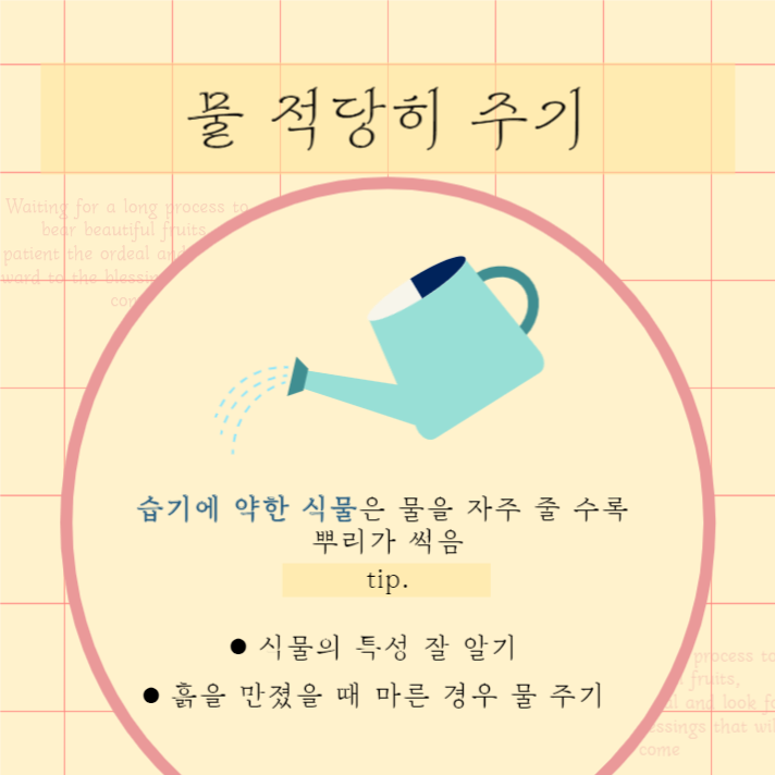 식물 키우기 리스트