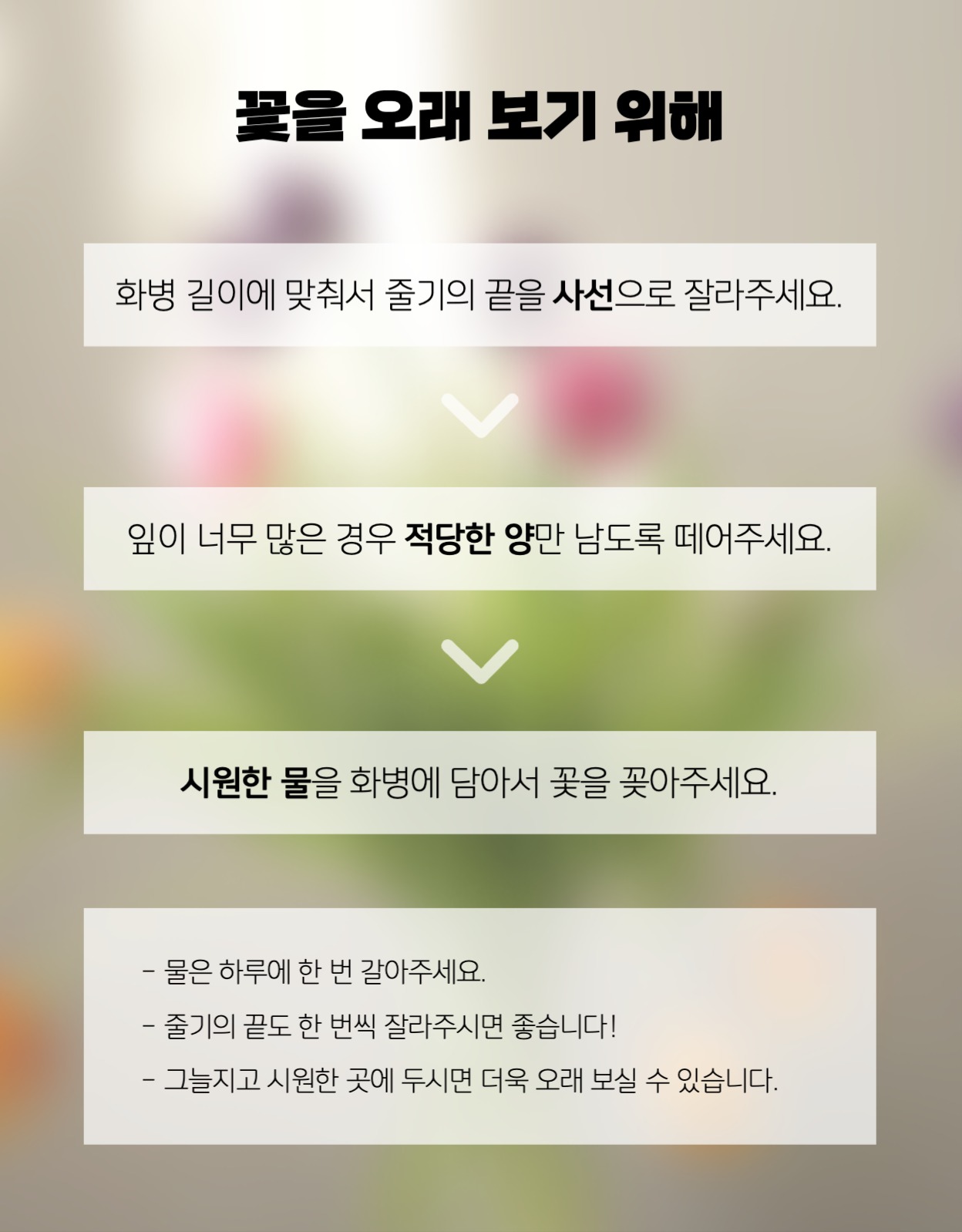 꽃 정기구독 상세페이지