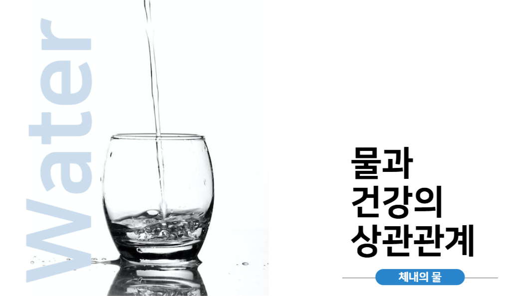 발표피피티_물과 건강의 상관관계